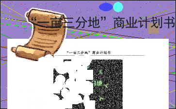 “一亩三分地”商业计划书